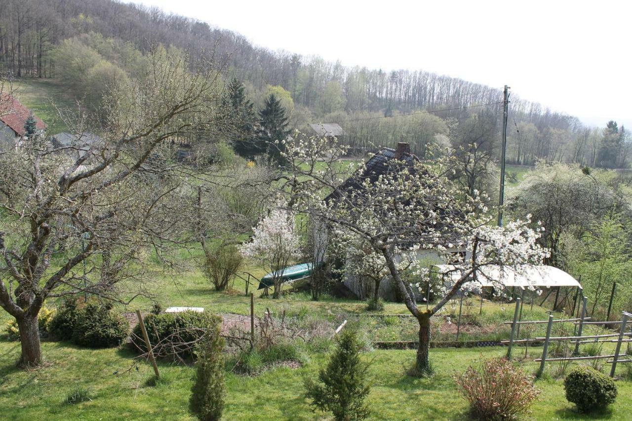 Am Jakobusweg App3 Bamberg Dış mekan fotoğraf